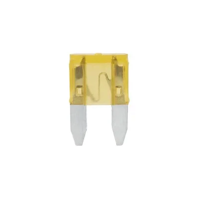 490463 - Steekzekeringen mini 5A licht bruin
